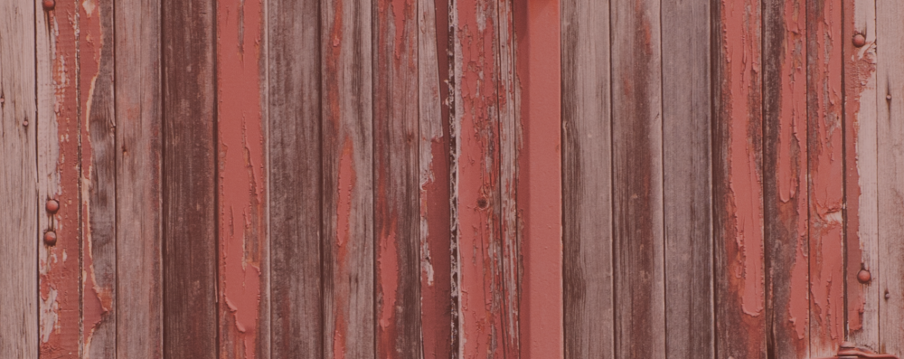 Flanker Press Ltd The latest Sunny and Roscoe thriller from Natalie Carter-Giles