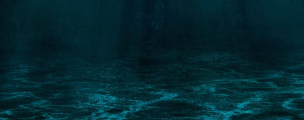 Flanker Press Ltd Part comic book, part biography on the growth of a local Internet sensation, this book will take you through the journey of The Newfoundland Turnip thus far.