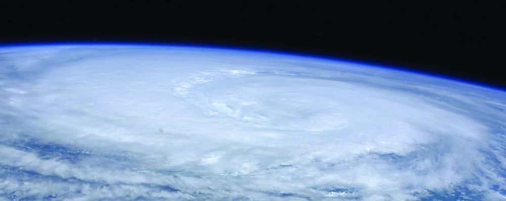 Flanker Press Ltd Hurricane House tells the gripping story of the Parsons family&mdash;Ruth and Gilbert and their adult children, Joey and Junie&mdash;as they face one of the worst projected storms in Atlantic Canadian history.