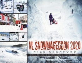NL Snowmageddon 2020